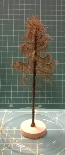 Go to product FREON MSU2 - European larch - withered - ht. 14-16 cm