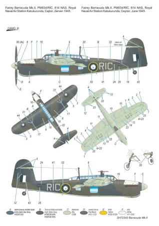 72343 (6).jpg