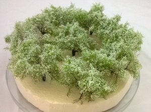 FREON KRW - Bushes with white flowers - 10pcs - ht. 4.5cm