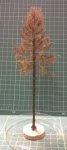 FREON MSU1 - European larch - withered - ht. 18-20 cm