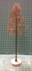 FREON MSU1 - European larch - withered - ht. 18-20 cm