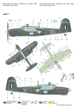 72343 (2).jpg