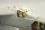 49500_01.JPG