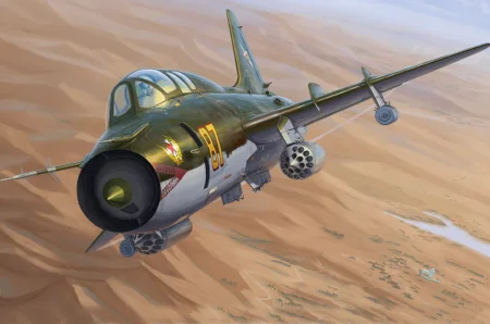 81759 (4).jpg