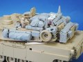 LF1359-3.jpg