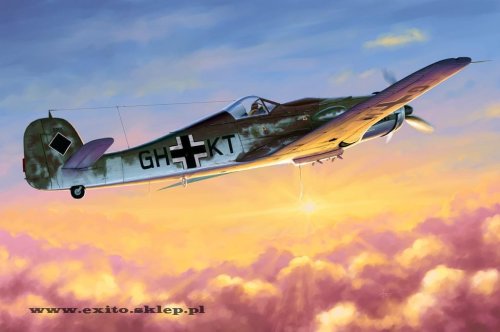 Go to product HOBBY BOSS 81717 - 1:48 Focke Wulf FW 190D-10