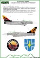 D72051-Eurofighter-Typhoon-10-Years-in-German-Air-Force-TLG-73-Steinhoff-570-2.jpg