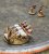 ITALERI-6196 (4).jpeg