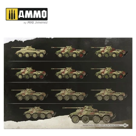 AMIG6015 (11).jpg