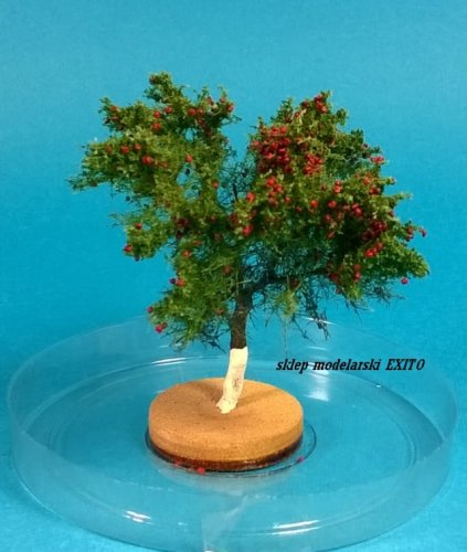 Go to product FREON JAB2 - Apple tree - about 6cm high