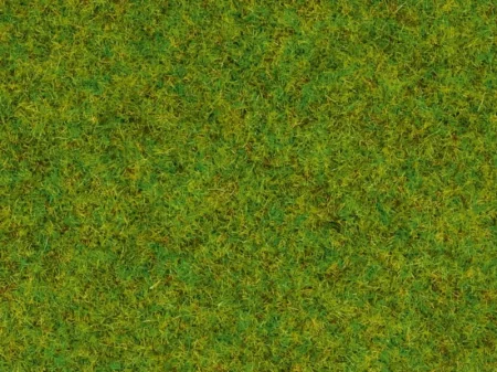 50210 1.jpg
