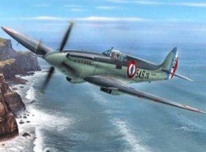 SPECIAL HOBBY 48125 - 1:48 Supermarine Seafire Mk.15 Aeronavale Service