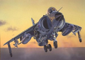 ITALERI 1236 - 1:72 FRS.1 Sea Harrier