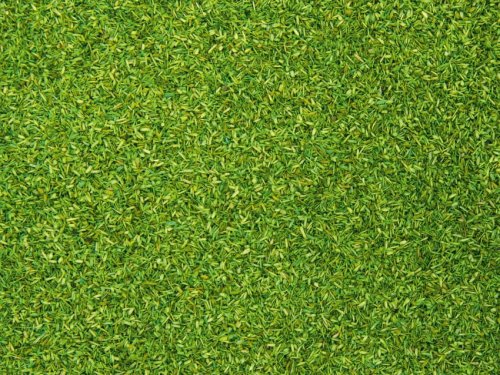 Go to product NOCH 08371 - Scatter Material Light Green 200g