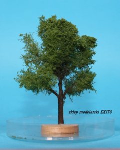FREON DAB3 - Oak - ht. 8-12 cm