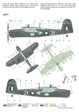 72343 (1).jpg