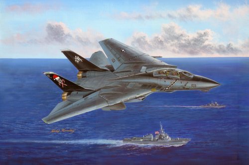 Go to product HOBBY BOSS 80367 - 1:48 F-14B Tomcat