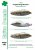 exito-decals-009-lightning-strike-48-cover.jpg
