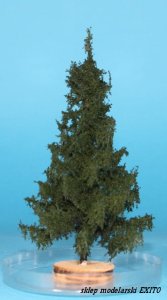 FREON SWI2 - Spruce - ht. 14-16 cm