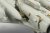 48681_white_03.JPG