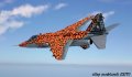 1357_foto2_nuvole2LR.jpg