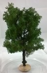 FREON KA1 - Conker tree - ht. 18-20 cm
