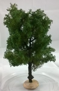FREON KA1 - Conker tree - ht. 18-20 cm