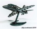 J6003-Hawk-6.jpg