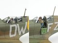 d5.jpg