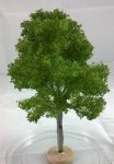 FREON KL1 - Maple - ht. 18-20 cm