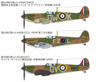 d17.jpg