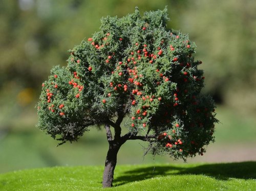 Go to product FREON JAB1 - Apple tree - height 16-18 cm