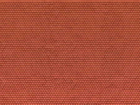 56690.jpg