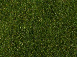 NOCH 07291 - Meadow Foliage medium green 20?x?23?cm