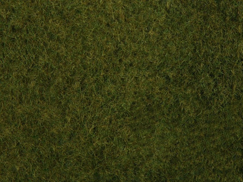 07282.jpg