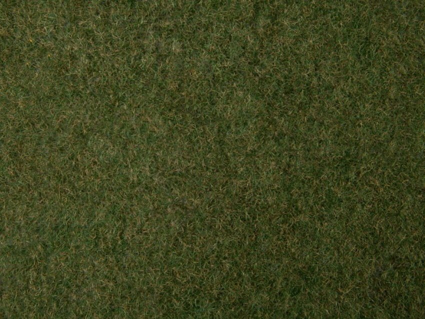 07281.jpg