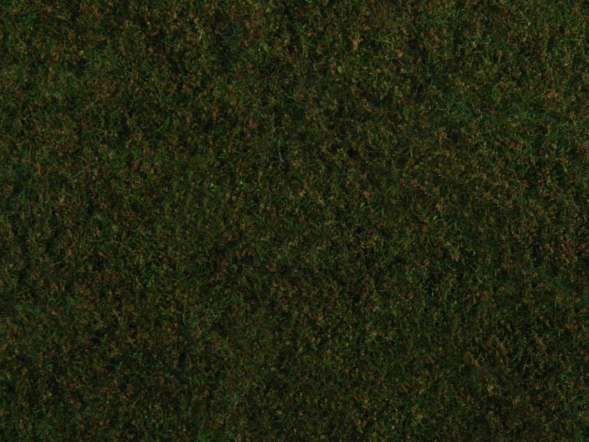 07272.jpg