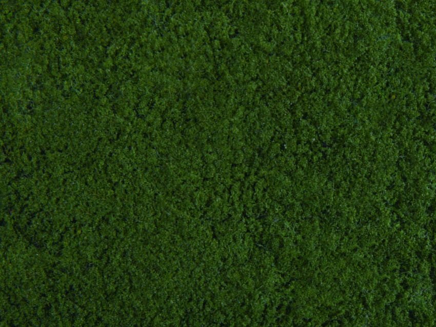 07271.jpg