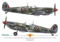 exito_decals-3_str5.jpg