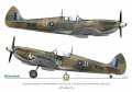 exito_decals-3_str3.jpg