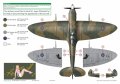 exito_decals-3_str4.jpg