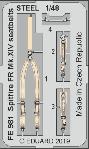 FE981.jpg