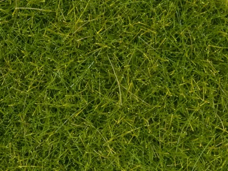 07112N2.jpg