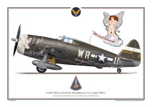 Exito 003 -  Poster P-47 D Thunderbolt - Miss Behave Li l Lo