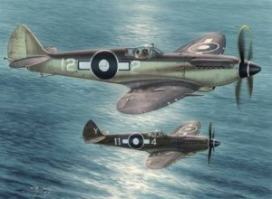 SPECIAL HOBBY 48116 - 1:48 Supermarine Seafire Mk.XV Far East Service