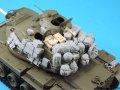 LF1306-2.jpg