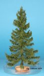 FREON MPN2 - European larch - low trunk - ht. 14-16 cm