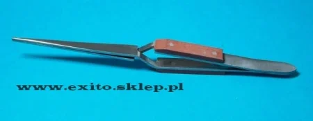 papd 1.JPG