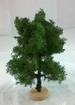 FREON KA2 - Conker tree - ht. 14-16 cm