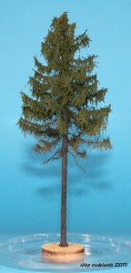 FREON MPW1 - European larch - high trunk - ht. 18-20 cm